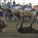 charro1