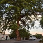 centinelas_del_tiempo