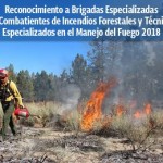 BRIGADAS Y TECNICOS ESPECIALIZADOS (1)