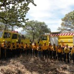 BRIGADAS Y TECNICOS ESPECIALIZADOS (4)