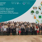 MONITOREO FORESTAL GLOBAL (4)