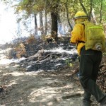 NAYARIT_INCENDIO CERRO DE SAN JUAN_8