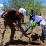 NAYARIT_DIA DE LA DESERTIFICACIÓN_2