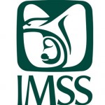 LOGO IMSS