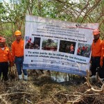 NAYARIT_BRIGADA DE SANIDAD FORESTAL LOS MORILLOS