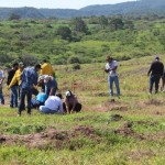 NAYARIT_UN NUEVO BOSQUE 2018_3
