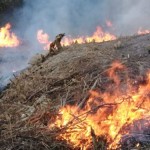 INCENDIOS NAY 02