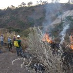 INCENDIOS NAY 03