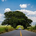 Comunicado Crea Congreso Fondo Estatal para preservar medio ambiente 15 julio 2021 2