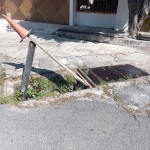 IMG-20221109-WA0089