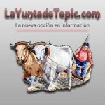 descarga