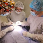 thumbnail_QUIROFANO2